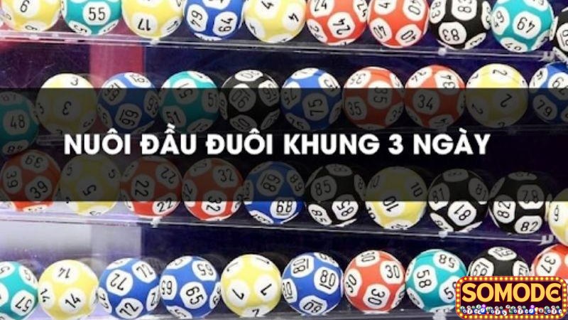 Giải đáp đầu đuôi khung 3 ngày là gì