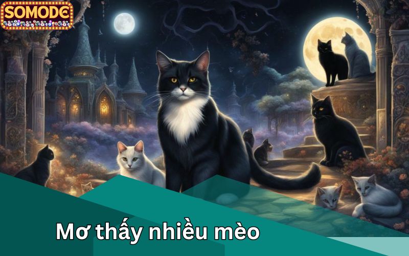 Mơ thấy nhiều mèo