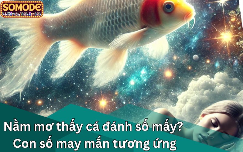 Nằm mơ thấy cá đánh số mấy? Con số may mắn tương ứng