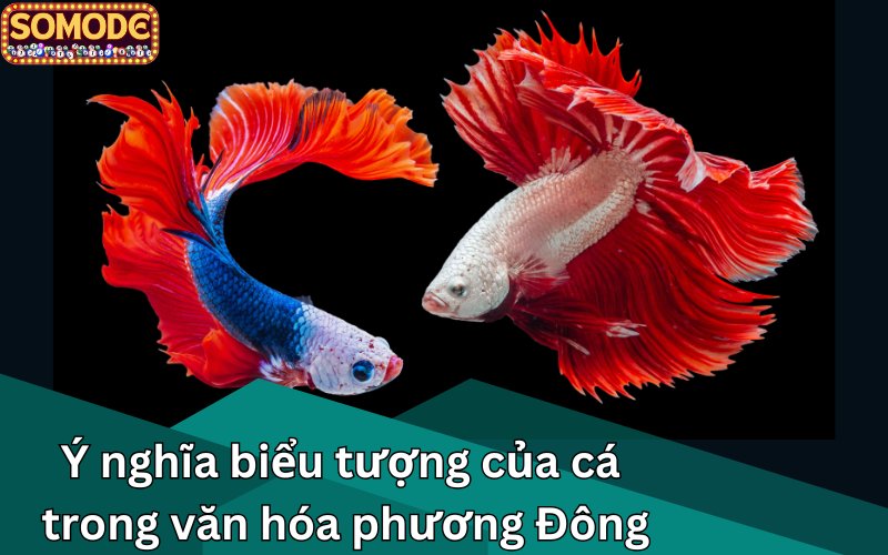 Ý nghĩa biểu tượng của cá trong văn hóa phương Đông