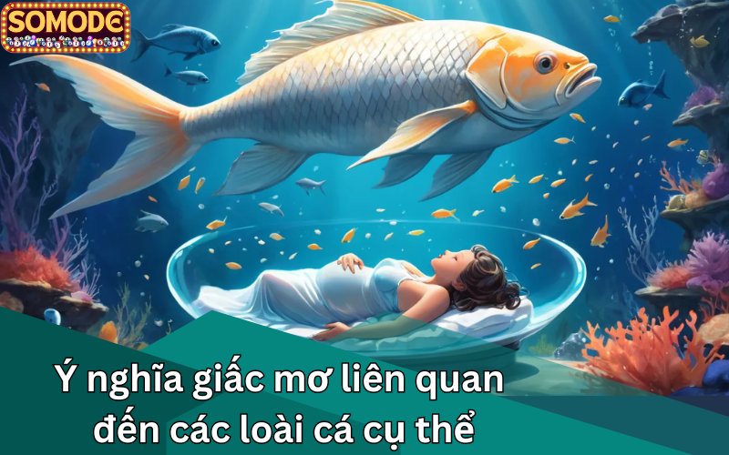 Ý nghĩa giấc mơ liên quan đến các loài cá cụ thể