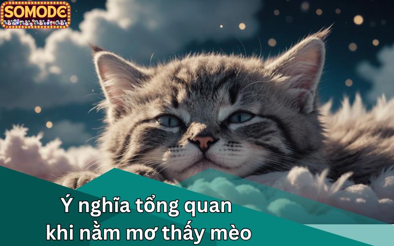 Ý nghĩa tổng quan khi nằm mơ thấy mèo