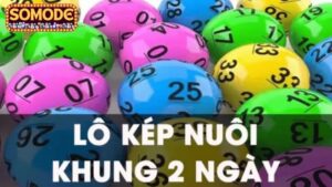 Khái niệm bạch thủ lô kép khung 2 ngày