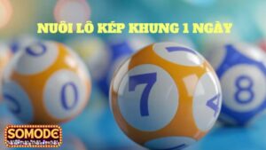 Khái quát về bạch thủ lô kép khung 1 ngày