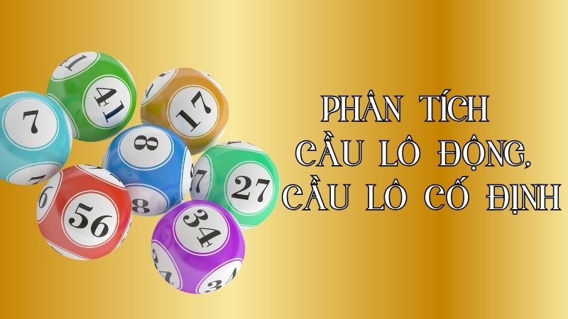 Phân tích cầu lô động, cầu lô cố định